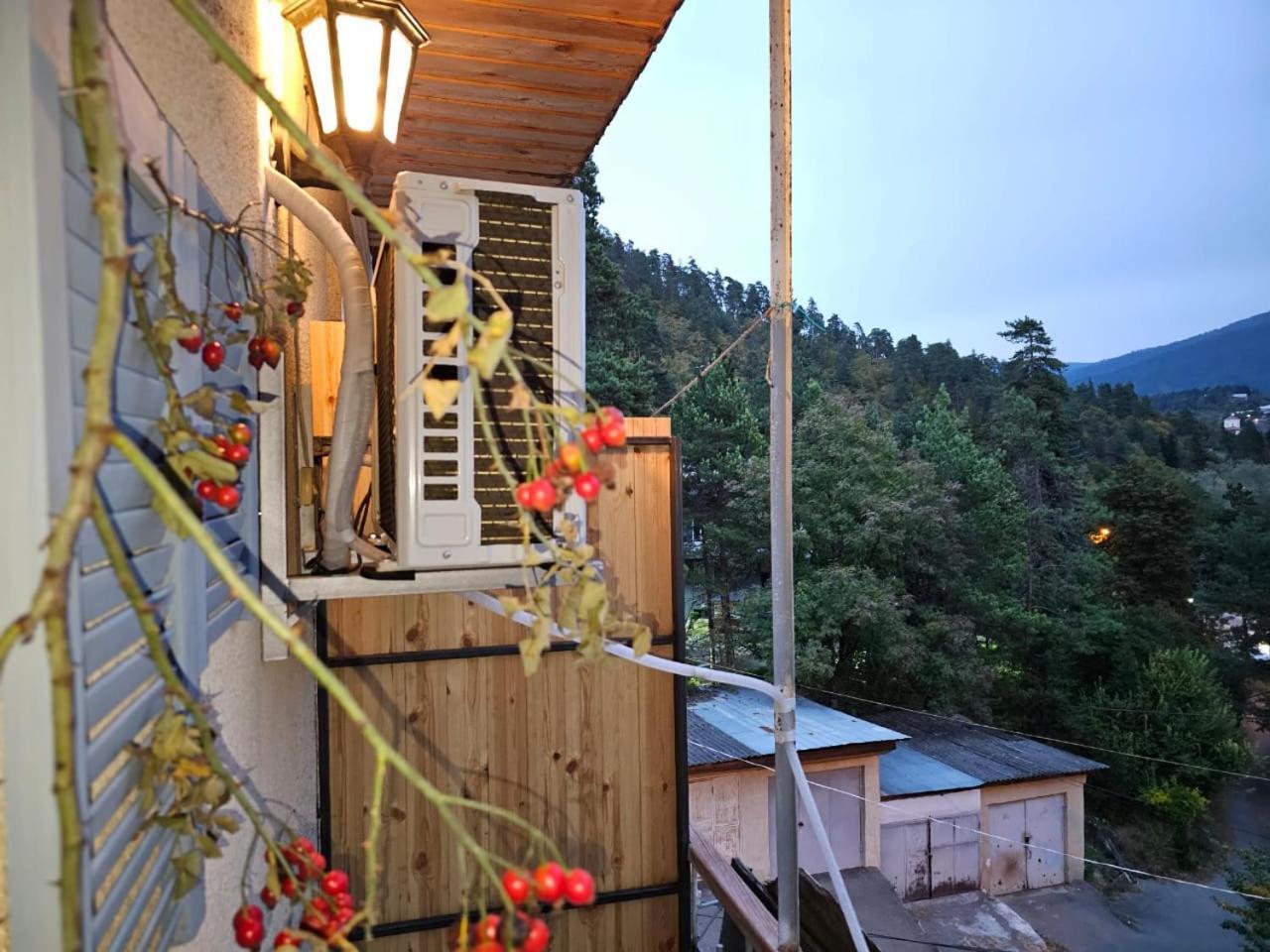 Guest House Likani 2017 ボルジョミ 部屋 写真