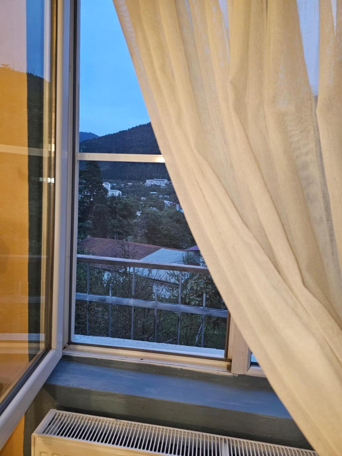 Guest House Likani 2017 ボルジョミ 部屋 写真
