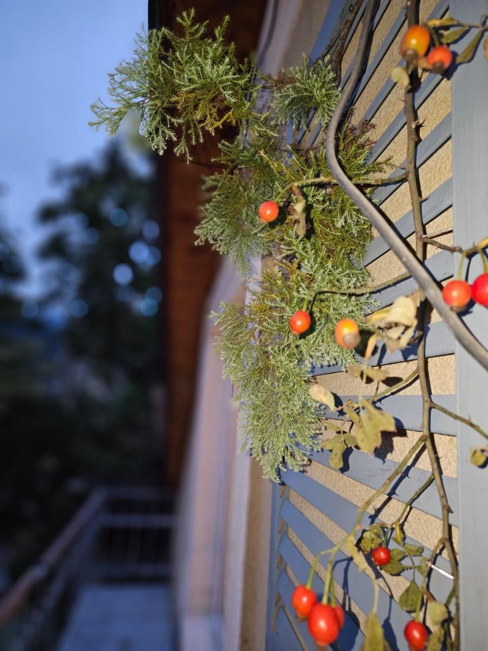 Guest House Likani 2017 ボルジョミ 部屋 写真