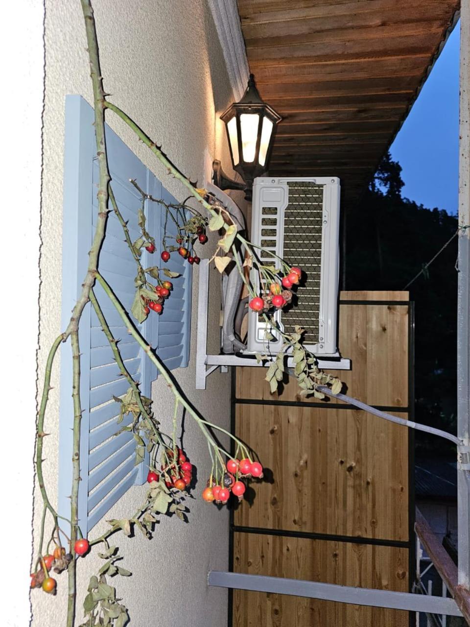 Guest House Likani 2017 ボルジョミ 部屋 写真