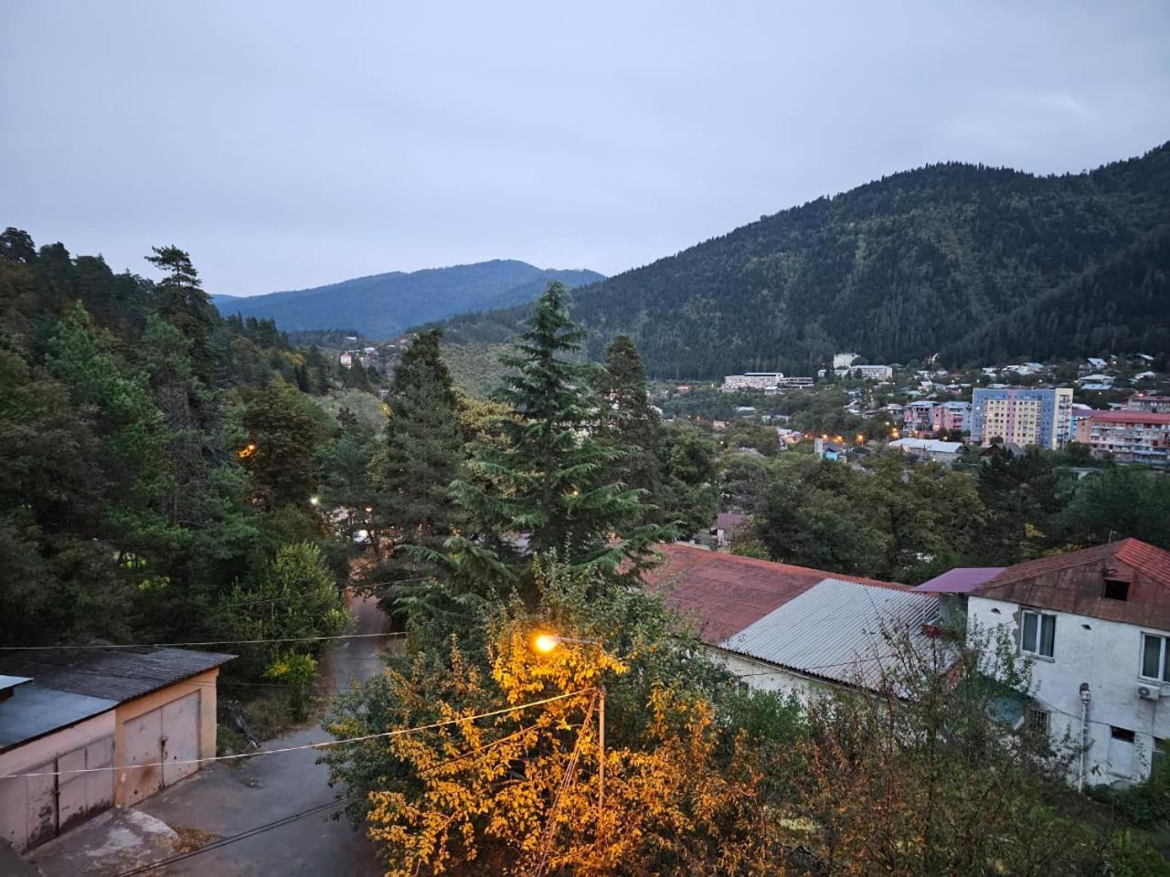 Guest House Likani 2017 ボルジョミ 部屋 写真
