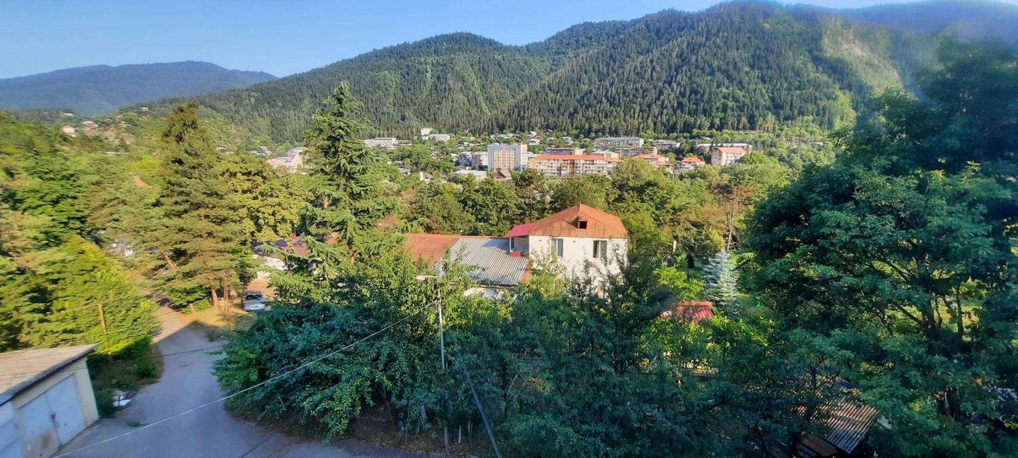 Guest House Likani 2017 ボルジョミ 部屋 写真