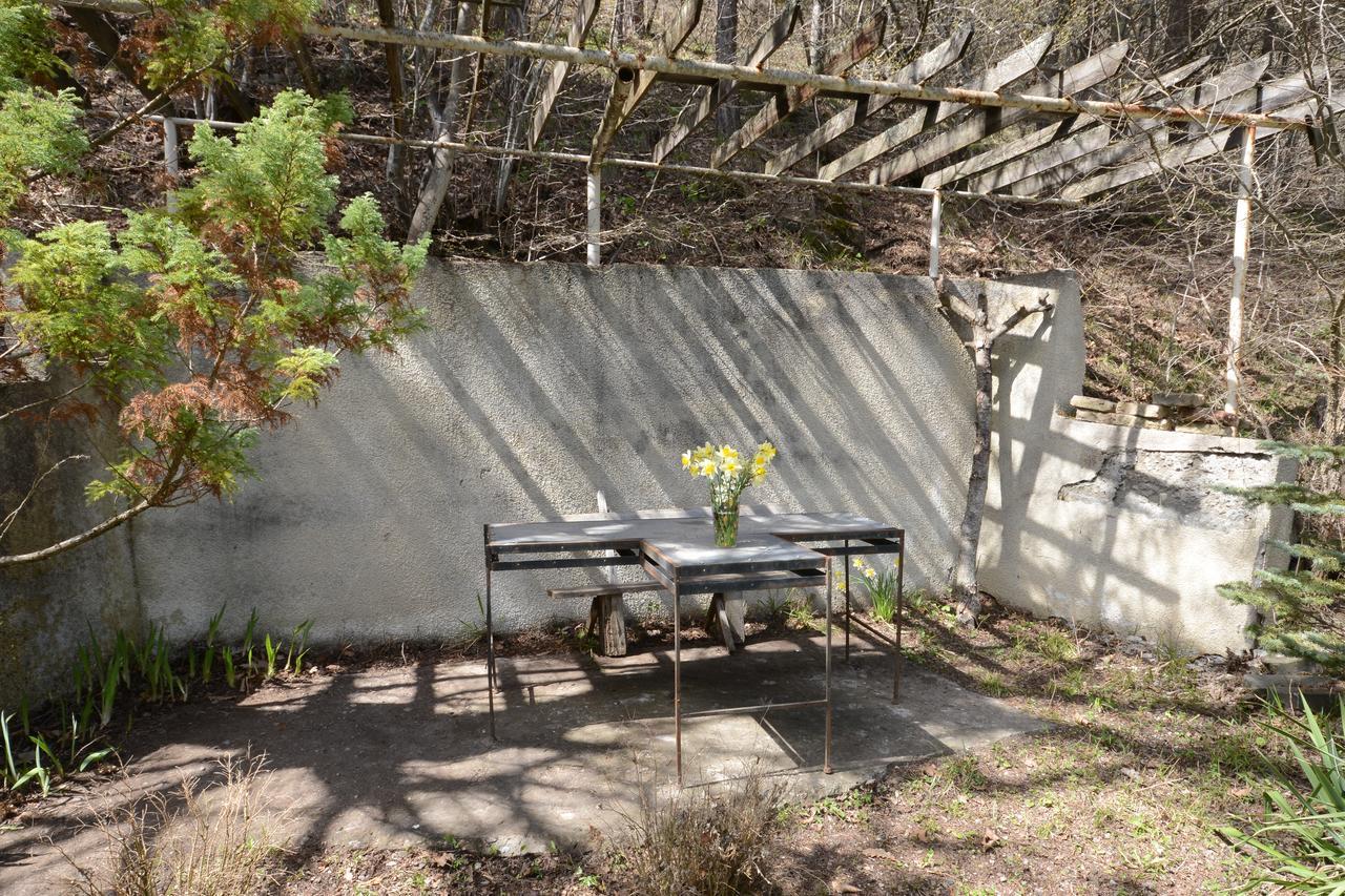Guest House Likani 2017 ボルジョミ エクステリア 写真